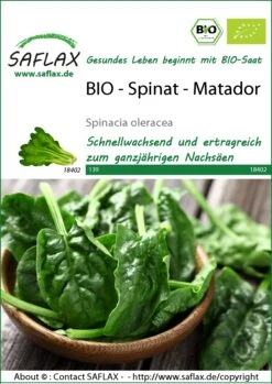 Spinat Matador | BIO Spinatsamen Von Saflax
