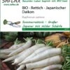 Rettich Japanischer Daikon | BIO Rettichsamen Von Saflax -Compo Verkäufe 540105 Bio Rettich Japanischer Daikon 18577 sa 0