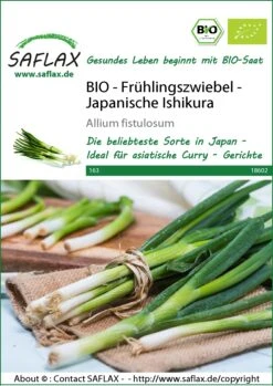 Frühlingszwiebel Japanische Ishikura | BIO Zwiebelsamen Von Saflax 5 Frühlingszwiebel Japanische Ishikura | BIO Zwiebelsamen Von Saflax -Compo Verkäufe 540107 Bio Fruehlingszwiebel Japanische Ishikura 18602 sa 0