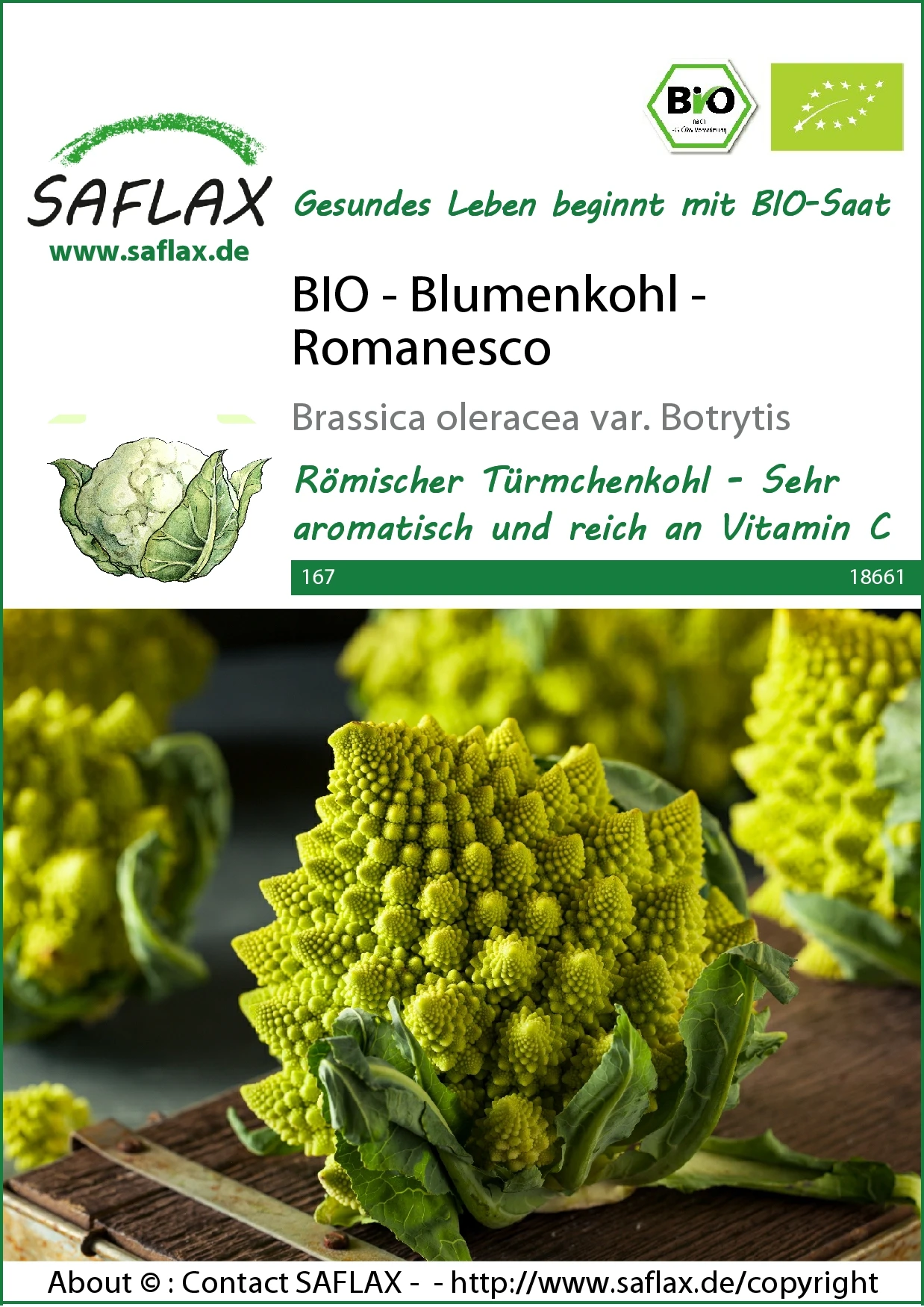 Blumenkohl Romanesco | BIO Blumenkohlsamen Von Saflax 3 Blumenkohl Romanesco | BIO Blumenkohlsamen Von Saflax
