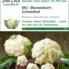 Blumenkohl Schneeball | BIO Blumenkohlsamen Von Saflax