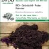 Grünkohl Roter Krauser | BIO Grünkohlsamen Von Saflax
