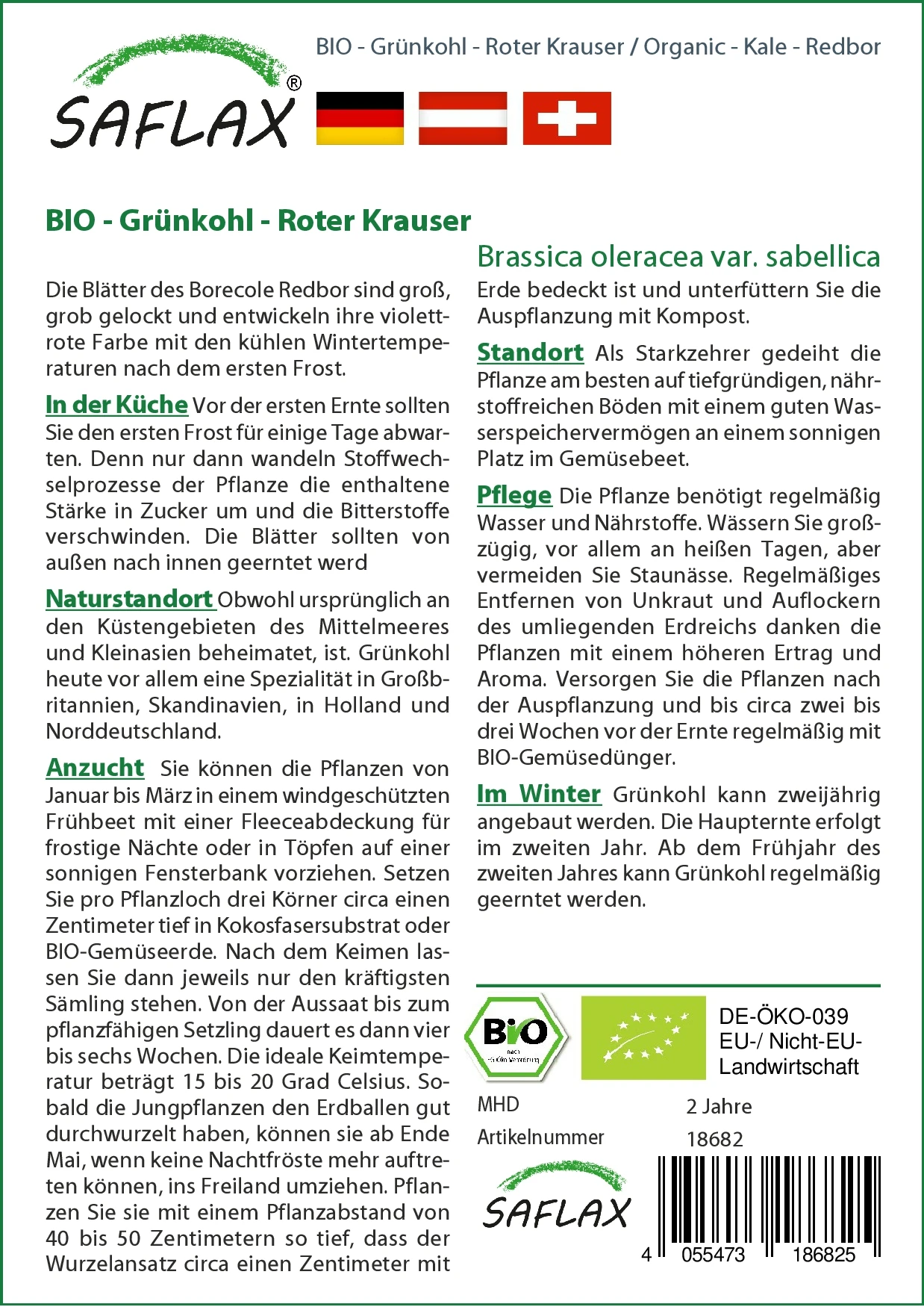 Grünkohl Roter Krauser | BIO Grünkohlsamen Von Saflax 4 Grünkohl Roter Krauser | BIO Grünkohlsamen Von Saflax – Bild 2
