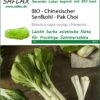 Chinesischer Senfkohl Pak Choi | Pak Choisamen Von Saflax