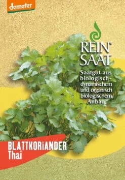Blattkoriander Thai | BIO Koriandersamen Von Reinsaat