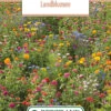 Blumenwiese Feldblumenmischung (100 G) | Blumensamen Von Bertrand -Compo Verkäufe 540950 Blumenwiese Landblumen 100 g