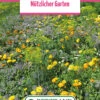 Blumenwiese &quot;Die Essbaren Blumen&quot; (100 G) | Blumensamen Von Bertrand -Compo Verkäufe 540960 Blumenwiese Pfarrgarten 100 g