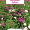 Blumenwiese Blumenteppich Fuchsias (100 G) | Blumensamen Von Bertrand 2 Blumenwiese Blumenteppich Fuchsias (100 G) | Blumensamen Von Bertrand -Compo Verkäufe 540976 Blumenwiese Blumenteppich Fuchsias 100 g