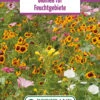Blumenwiese Feuchtgebiet (Rückhaltebecken) (100 G) | Blumensamen Von Bertrand 1 Blumenwiese Feuchtgebiet (Rückhaltebecken) (100 G) | Blumensamen Von Bertrand -Compo Verkäufe 540998 Blumenwiese Feuchtgebiet 100 g