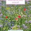 Blumenwiese Landblumenmischung (100 G) | Blumensamen Von Bertrand -Compo Verkäufe 541020 Blumenwiese Blumen aus der Natur universell 100 g