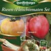 Riesen-/ Fleischtomaten Set (Saatplatte) | Tomatensamen Von Quedlinburger -Compo Verkäufe 542617 Riesen Fleischtomaten Set Saatplatte