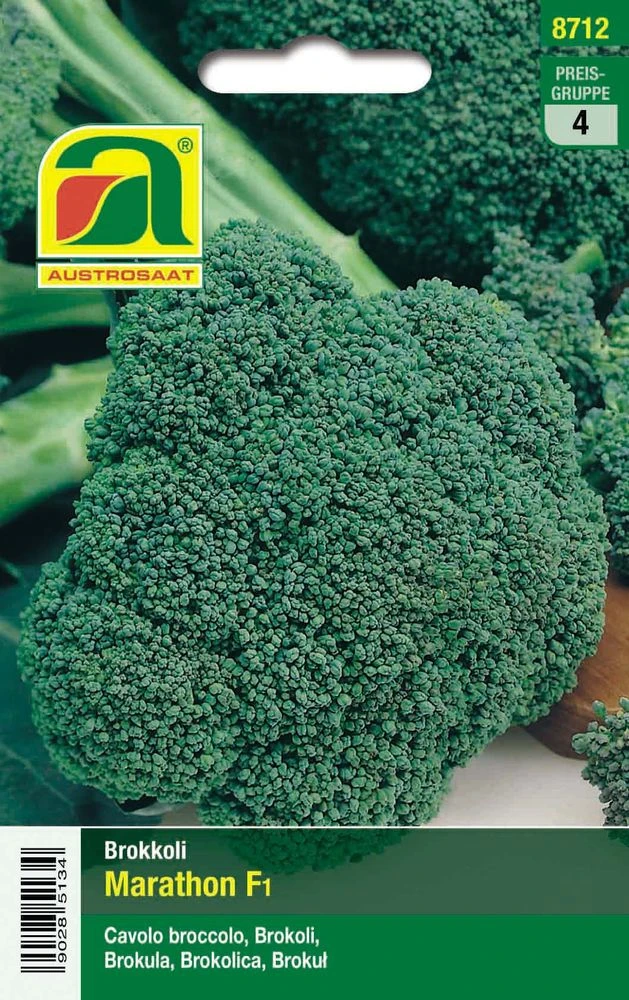 Brokkoli Marathon F1 | Brokkolisamen Von Austrosaat 3 Brokkoli Marathon F1 | Brokkolisamen Von Austrosaat