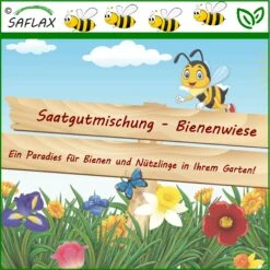 Bienenwiese | Bienenwiese Von Saflax