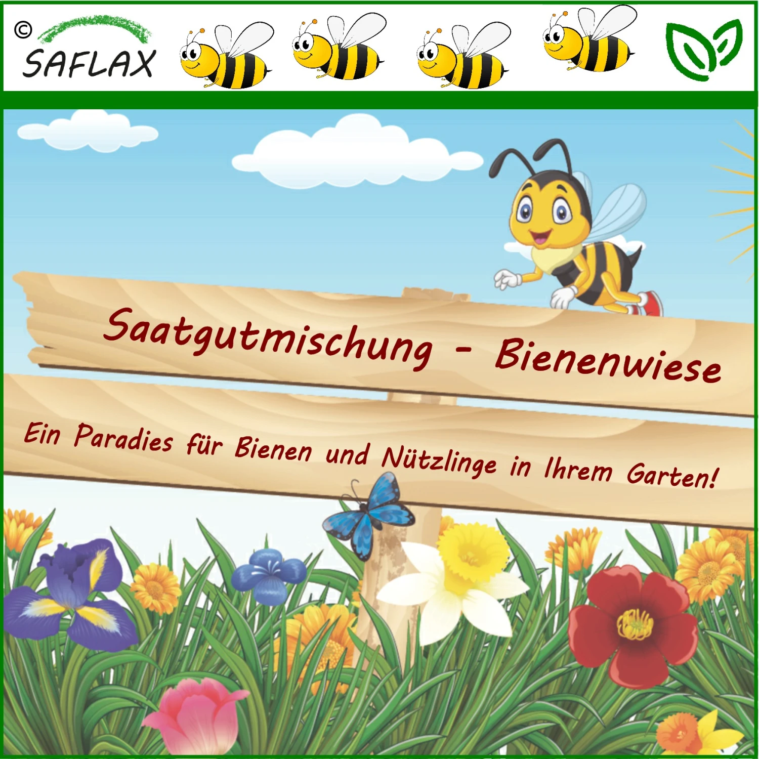 Bienenwiese | Bienenwiese Von Saflax 3 Bienenwiese | Bienenwiese Von Saflax
