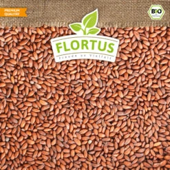 Bio-Kresse (900 G) | Bio-Kressesamen Von Flortus -Compo Verkäufe 543638 Bio Kresse 900 g 4