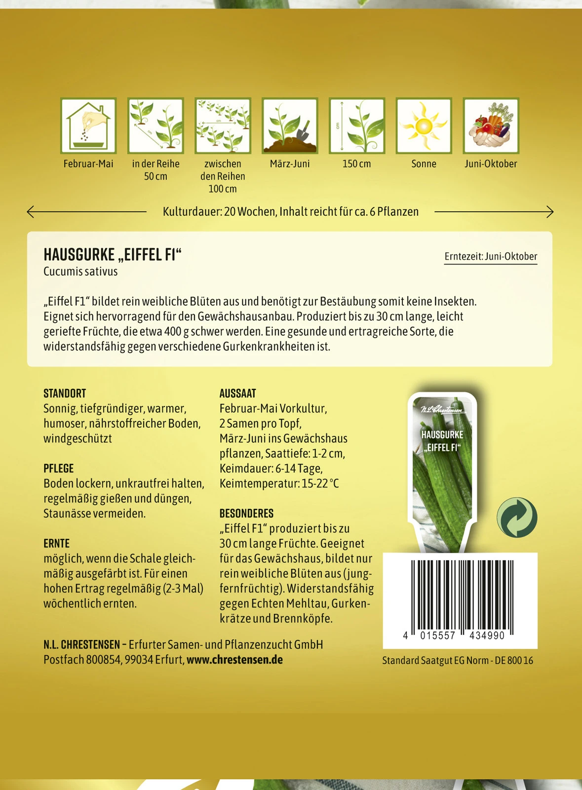Hausgurke Eiffel F1 | Gurkensamen Von N.L. Chrestensen 4 Hausgurke Eiffel F1 | Gurkensamen Von N.L. Chrestensen – Bild 2