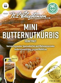 Titelseite -Compo Verkäufe 543727 Mini Butternutkuerbis Honeynut