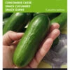 Snackgurke Iznik F1 | Minigurkensamen Von Buzzy Seeds [MHD 07/2024] -Compo Verkäufe 544713 Buzzy Snackgurke Iznik F1