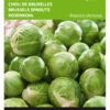 Rosenkohl Topline F1 | Rosenkohlsamen Von Buzzy Seeds [MHD 07/2024]
