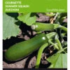 Zucchini Black Forest F1 | Zucchinisamen Von Buzzy Seeds [MHD 07/2024] -Compo Verkäufe 544858 Buzzy Zucchini Black Forest F1