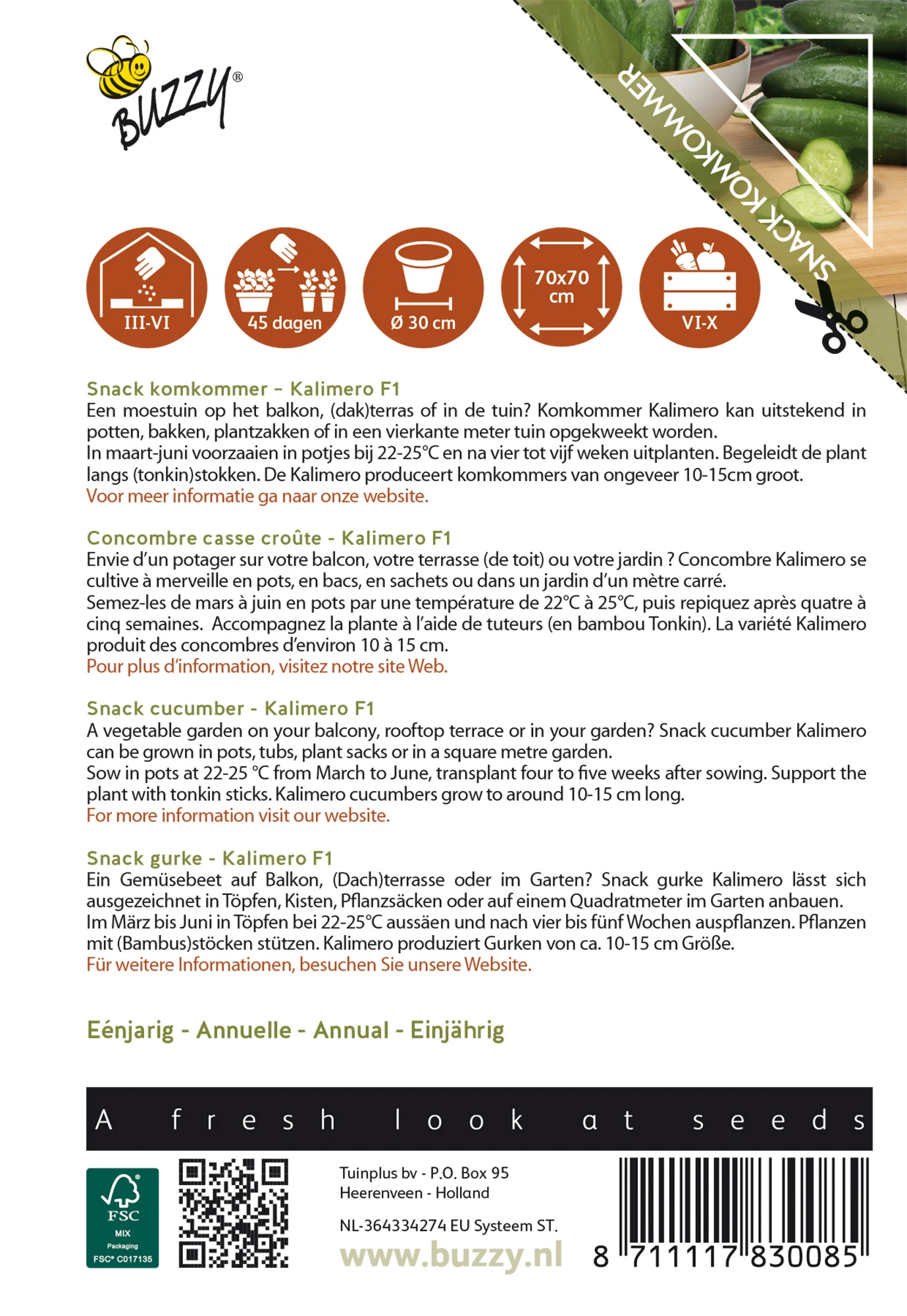 Snack Gurke Kalimero F1 | Minigurkensamen Von Buzzy Seeds 4 Snack Gurke Kalimero F1 | Minigurkensamen Von Buzzy Seeds – Bild 2