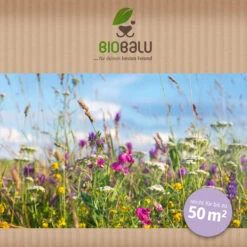Bienenweide Halbschatten- Und Schattenbereich (50 G) | Bienenwiese Von Biobalu -Compo Verkäufe 546069 Bienenweide Halbschatten und Schattenbereich 50 g 2