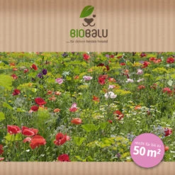 Saatgutmischung Sommerzauber (30 G) | Bienenwiese Von Biobalu -Compo Verkäufe 547420 Saatgutmischung Sommerzauber 30 g 1