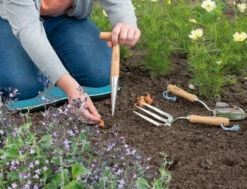 Pflanzholz 28cm | Gartengeräte Von Sogo