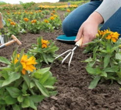 Handharke | Gartengeräte Von Sogo 8 Handharke | Gartengeräte Von Sogo -Compo Verkäufe 548544 Handharke 887436 sg 3