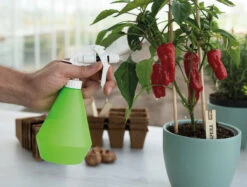 Wasserzerstäuber (0,5 L) | Gartengeräte Von Sogo -Compo Verkäufe 548560 0 5 L Wasserzerstaeuber 887508 sg 3