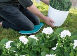 Kniekissen Blau | Gartengeräte Von Sogo -Compo Verkäufe 548561 Kniekissen blau 887510 sg 4