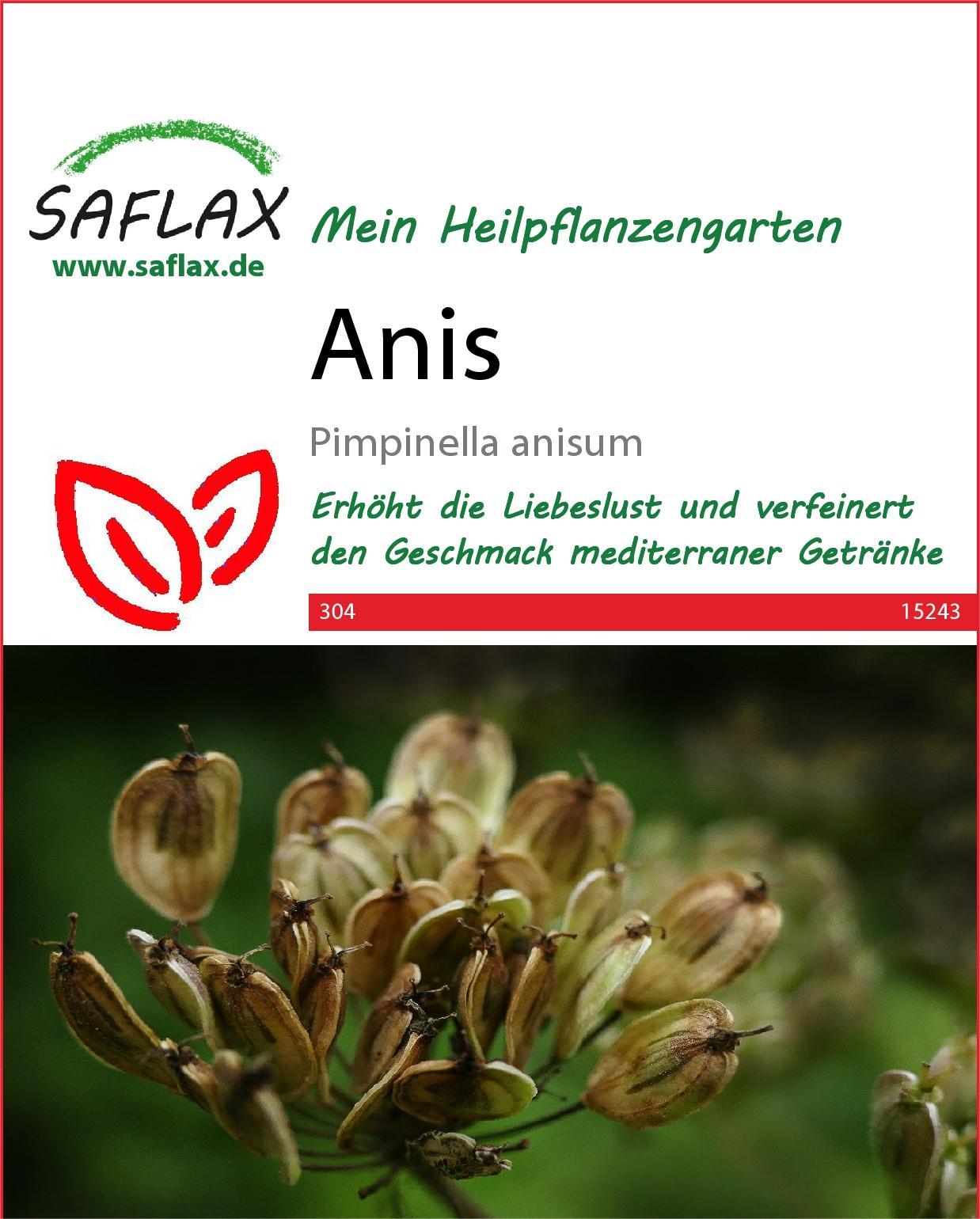 Titelseite -Compo Verkäufe 548704 Anis 15243 sa 0 2