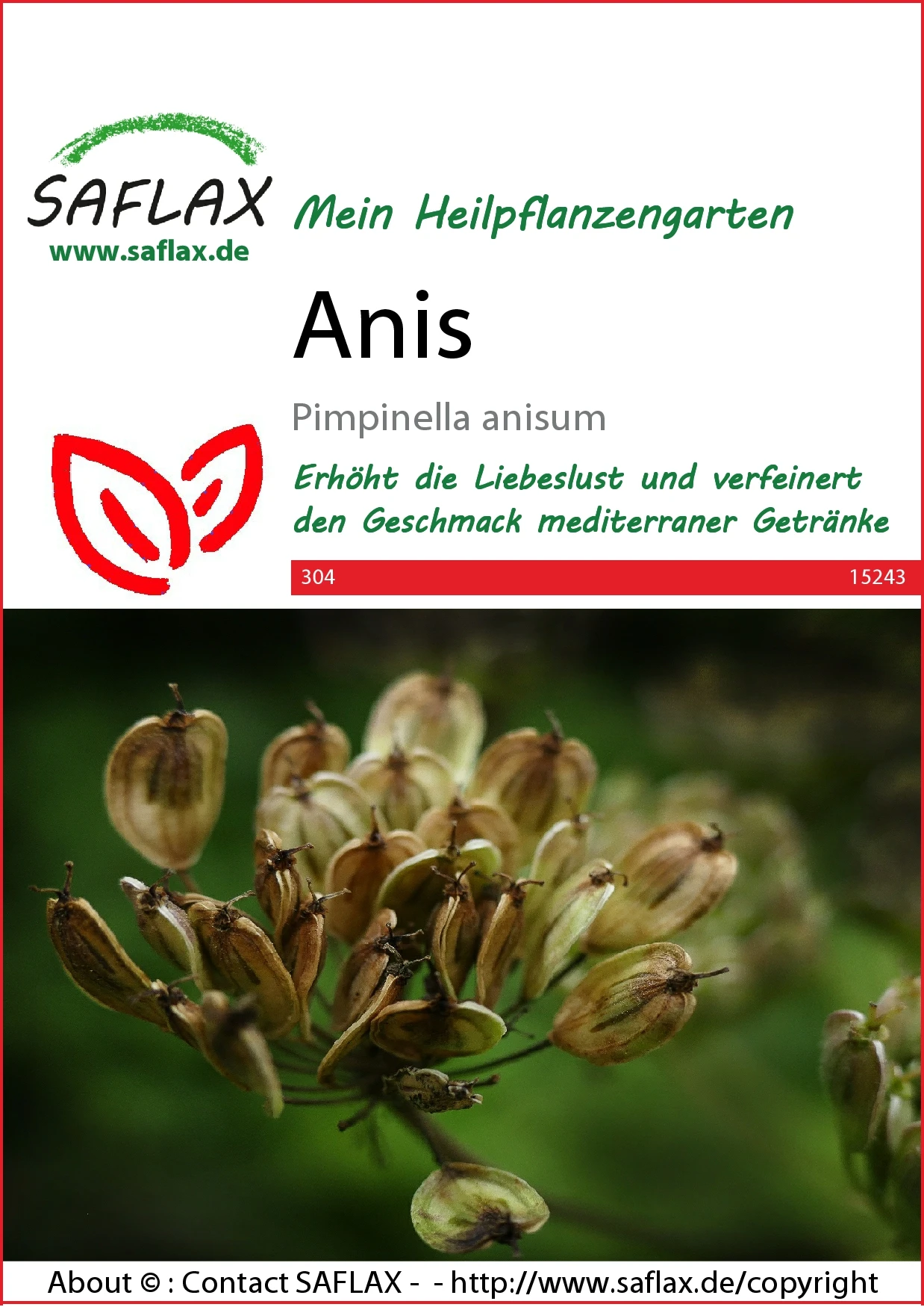 Anis | Anissamen Von Saflax 2 Anis | Anissamen Von Saflax