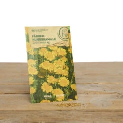 Wildblumen Set Stay Wild | BIO Wildblumensamen Von Samen Maier -Compo Verkäufe 549603 BIO Wildblumen Set Stay Wild A02 sm 2