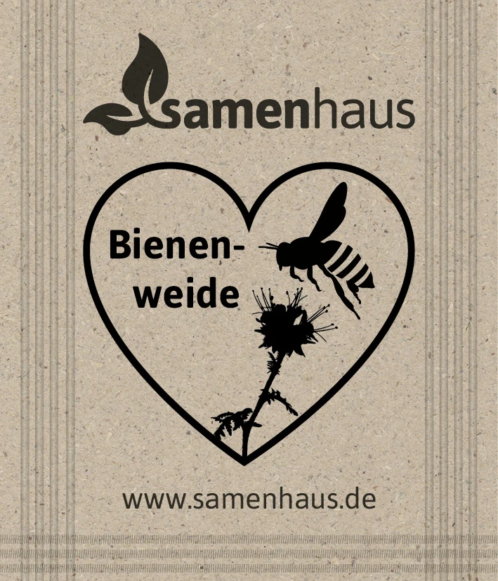 Bienenweide Für Werbezwecke (500 Tütchen) | Phaceliasamen Von Samenhaus 3 Bienenweide Für Werbezwecke (500 Tütchen) | Phaceliasamen Von Samenhaus