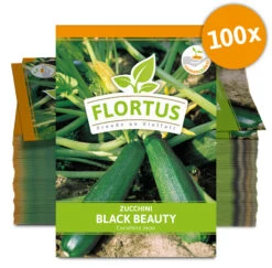Zucchini Black Beauty (100 Stück) | Zucchinisamen Von FLORTUS 7 Zucchini Black Beauty (100 Stück) | Zucchinisamen Von FLORTUS -Compo Verkäufe 549854 Zucchini Black Beauty 100 Stueck 2000 0471 100x 0