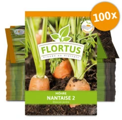 Möhre Nantaise 2 (100 Stück) | Möhrensamen Von FLORTUS -Compo Verkäufe 549855 Moehre Nantaise 2 100 Stueck 2000 0472 100x 0