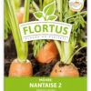 Möhre Nantaise 2 (100 Stück) | Möhrensamen Von FLORTUS -Compo Verkäufe 549855 Moehre Nantaise 2 100 Stueck 2000 0472 100x 1