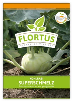 Kohlrabi Superschmelz (100 Stück) | Kohlrabisamen Von FLORTUS -Compo Verkäufe 549856 Kohlrabi Superschmelz 100 Stueck 2000 0473 100x 1