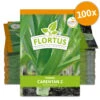 Lauch-Porree Carentan 2 (100 Stück) | Lauchsamen Von FLORTUS -Compo Verkäufe 549857 Lauch Porree Carentan 2 100 Stueck 2000 0474 100x 0
