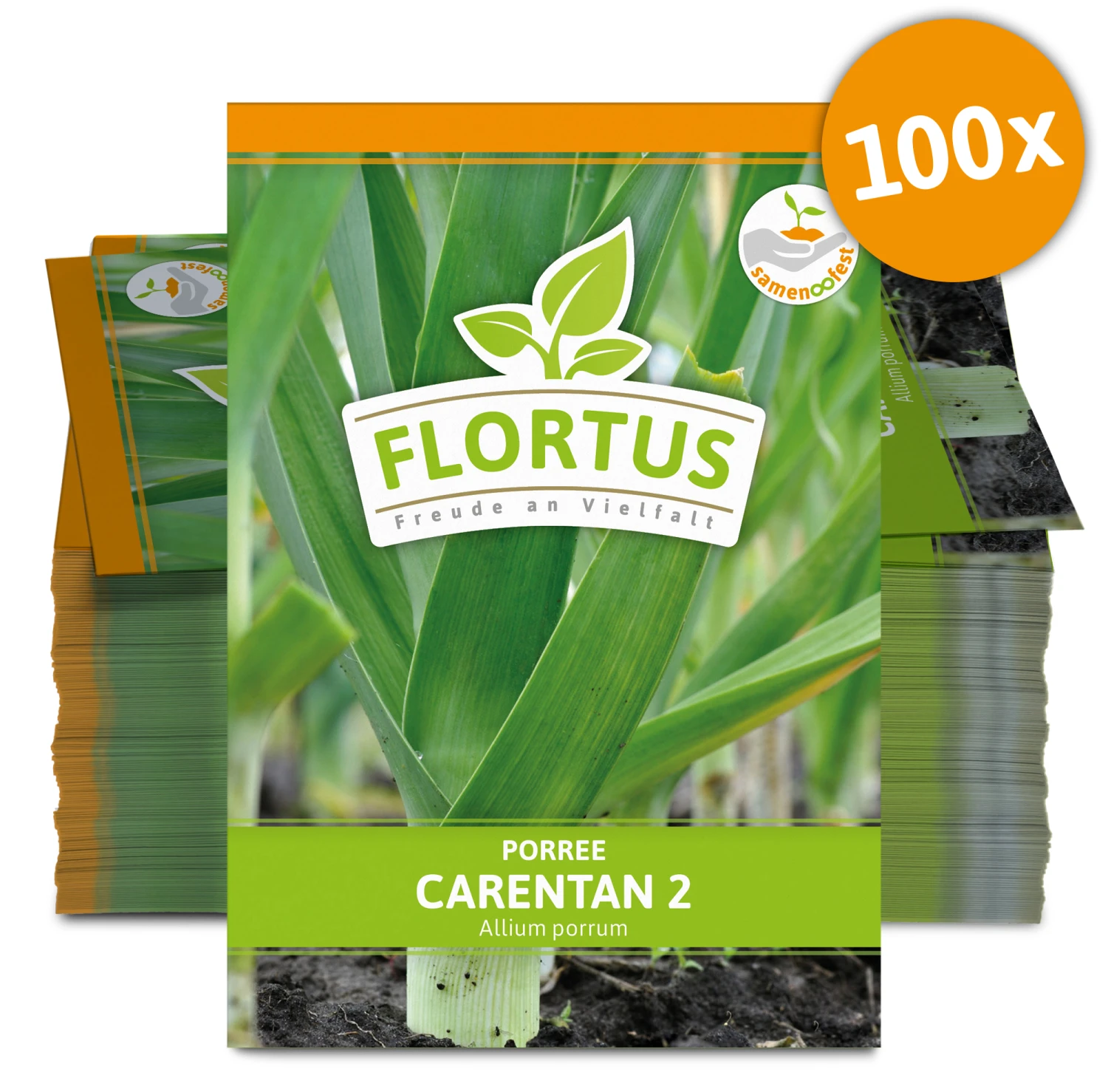 Lauch-Porree Carentan 2 (100 Stück) | Lauchsamen Von FLORTUS 3 Lauch-Porree Carentan 2 (100 Stück) | Lauchsamen Von FLORTUS
