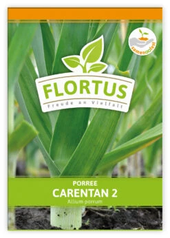 Lauch-Porree Carentan 2 (100 Stück) | Lauchsamen Von FLORTUS 7 Lauch-Porree Carentan 2 (100 Stück) | Lauchsamen Von FLORTUS -Compo Verkäufe 549857 Lauch Porree Carentan 2 100 Stueck 2000 0474 100x 1