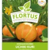 Hokkaidokürbis Uchiki Kuri (100 Stück) | Hokkaidokürbissamen Von FLORTUS 1 Hokkaidokürbis Uchiki Kuri (100 Stück) | Hokkaidokürbissamen Von FLORTUS -Compo Verkäufe 549859 Hokkaidokuerbis Uchiki Kuri 100 Stueck 2000 0476 100x 1