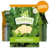 Blumenkohl Erfurter Zwerg (100 Stück) | Blumenkohlsamen Von FLORTUS -Compo Verkäufe 549866 Blumenkohl Erfurter Zwerg 100 Stueck 2000 0483 100x 0