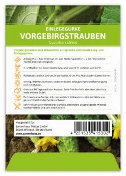 Einlegegurke Vorgebirgstrauben (100 Stück) | Einlegegurkensamen Von FLORTUS -Compo Verkäufe 549867 Einlegegurke Vorgebirgstrauben 100 Stueck 2000 0484 100x 2