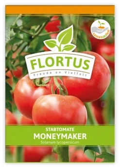 Tomate Moneymaker (100 Stück) | Tomatensamen Von FLORTUS -Compo Verkäufe 549868 Tomate Moneymaker 100 Stueck 2000 0485 100x 1