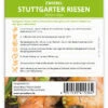 Zwiebel Stuttgarter Riesen (100 Stück) | Zwiebelsamen Von FLORTUS