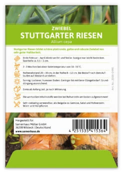 Zwiebel Stuttgarter Riesen (100 Stück) | Zwiebelsamen Von FLORTUS