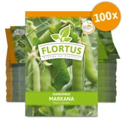 Markerbse Markana (100 Stück) | Markerbsensamen Von FLORTUS -Compo Verkäufe 549875 Markerbse Markana 100 Stueck 2000 0492 100x 0