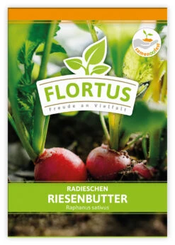 Radieschen Riesenbutter (100 Stück) | Radieschensamen Von FLORTUS -Compo Verkäufe 549876 Radieschen Riesenbutter 100 Stueck 2000 0493 100x 1